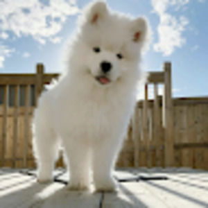 Meet your Posher, Sabrina